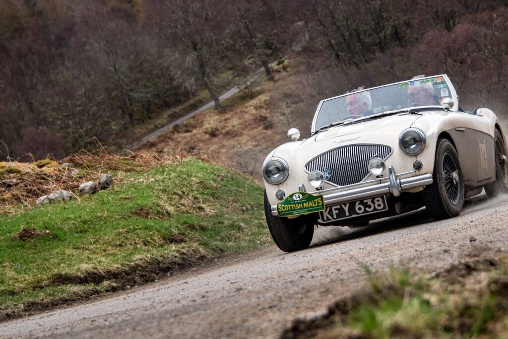 Dragonflly - The Rally Plate Company